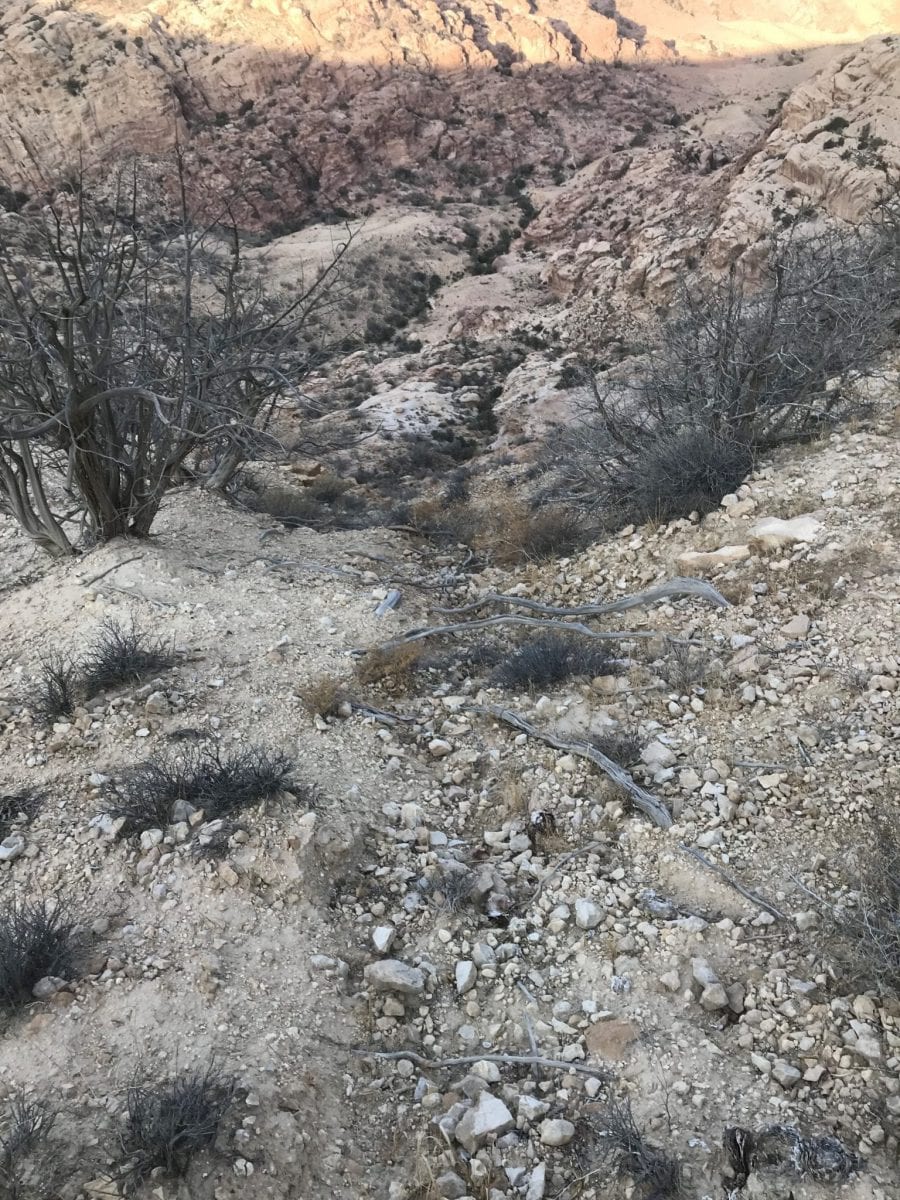 Jordan Trail - my canyon climb