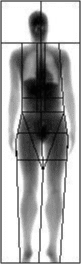 Body scan at Energylab fitness test