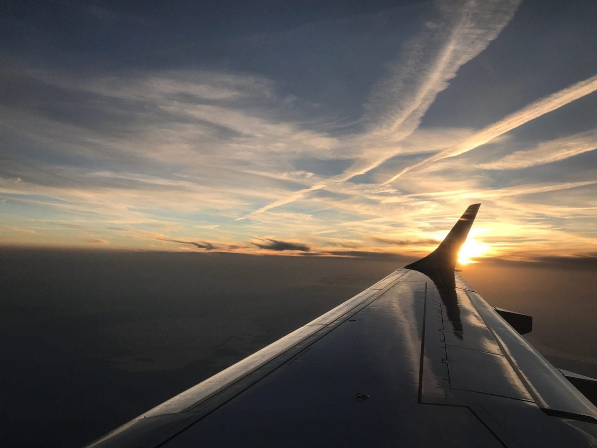 Flying with the sunset on the wing
