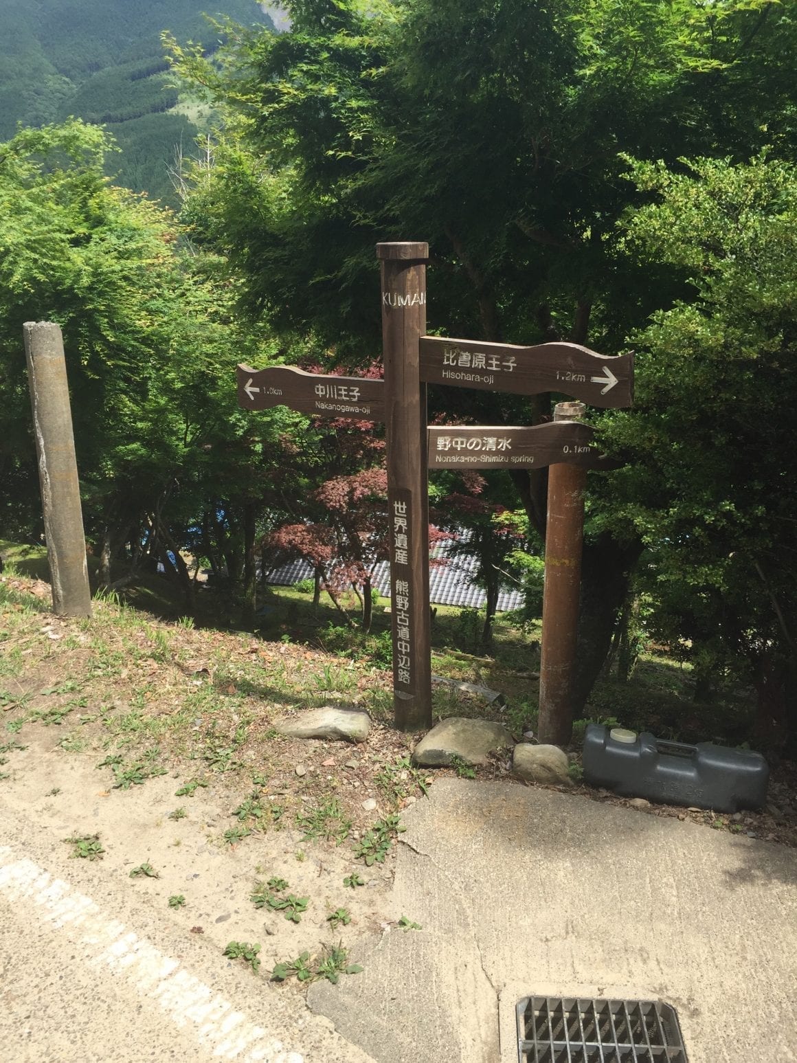 Kumano Kodo Descent