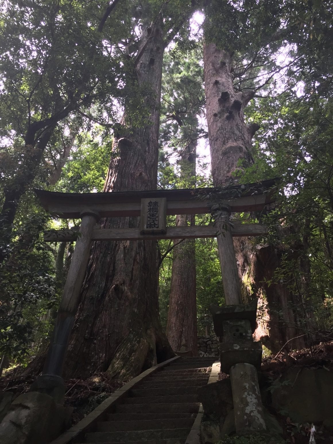 Kumano Kodo Shrines