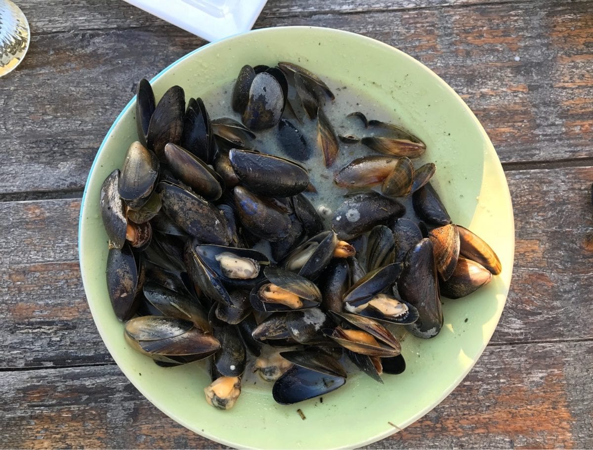 Mussels in The Hague
