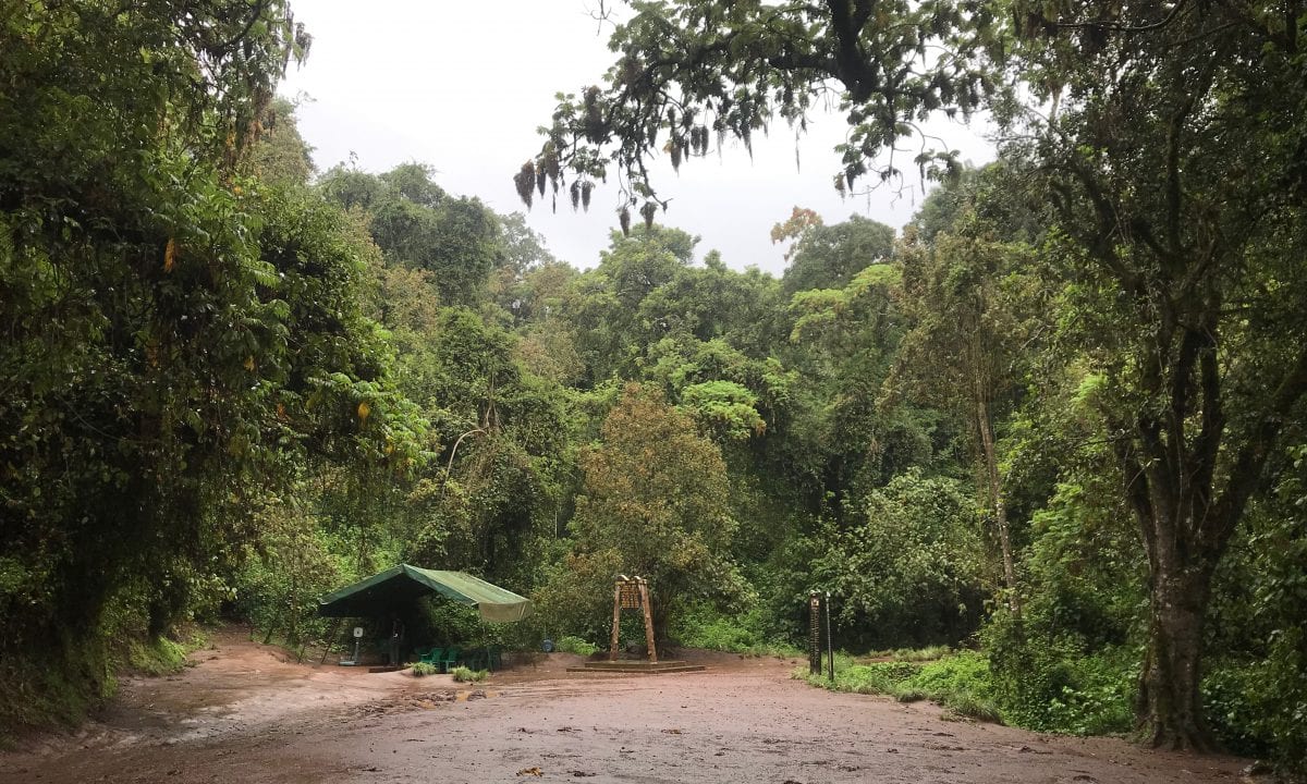 Trailhead for Kilimanjaro