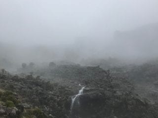 Fog on the trail