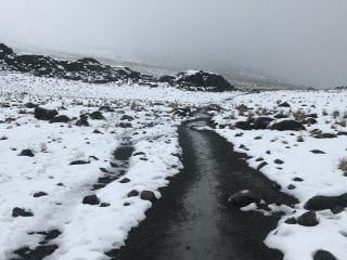 Snowy trails on Mount Kilimanjaro