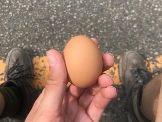 Super power egg in Yunomine