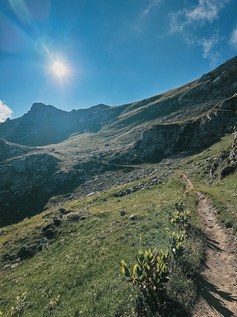 Trail impression