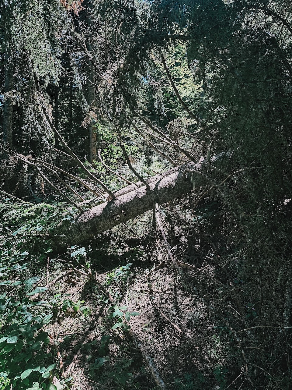 A route with some impediments
